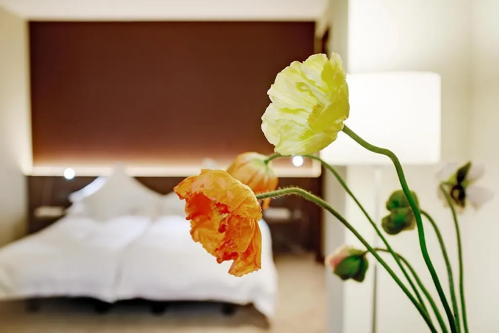Hotel Du Commerce Basilea